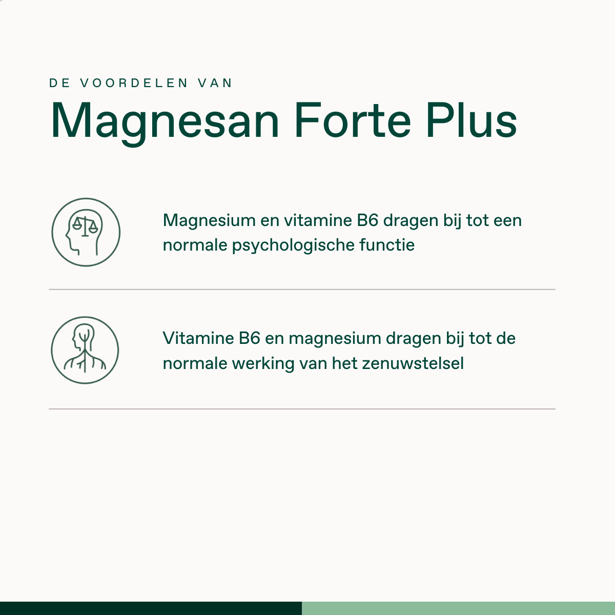 Magnesan Forte Plus